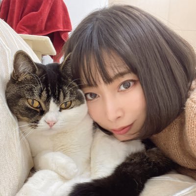 しっぽ's profile picture