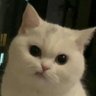 Aimzz's profile picture