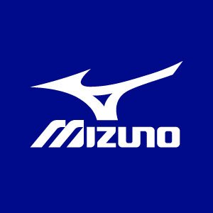 MizunoWorking's profile picture