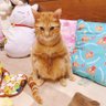 makipon's profile picture