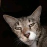 Profilbild von Nama ini tidak boleh kosong