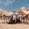 Фото профиля عبدالله