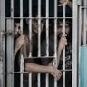Profilbild von Maldivian Inmates ދިވެހި ޤައިދީން 🔻