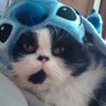 Hectorr's profile picture