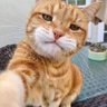 Cal profil fotoğrafı