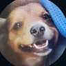 MistaDvN's profile picture