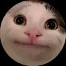 Profilbild von Toulefan