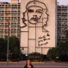 Katia Carboni's profile picture