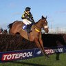 Jess Westwood-Molland Ridge Stud 的头像