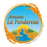 Industria Arrocera 🌾🍚 🚜 🚚 🇨🇴 La Ponderosa's profile picture