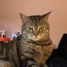 Фото профиля Libby