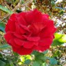 Фото профиля amazing27