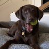 Booglyroo's profile picture