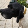 Sirius2000 profil fotoğrafı