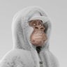 Profilbild von Eminence