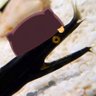 うえひろ's profile picture