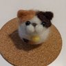 shino's profile picture