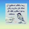 بسمة أمل's profile picture