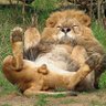 Catdick3_0 的头像
