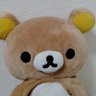 こじまん 的头像