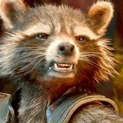 ℝ𝕠𝕔𝕜𝕖𝕥's profile picture