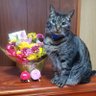 🌈ゆき💙💜🧡🩷💛🐸 profil fotoğrafı