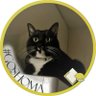 sachi🐈⬛'s profile picture
