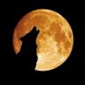 TheSteppenwolf77 profil fotoğrafı