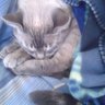 Profilbild von Mandy Mae