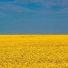 Фото профиля UKReality