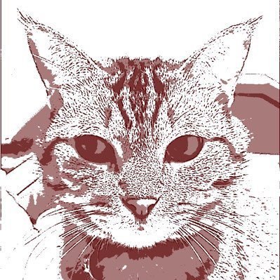 yamaddacci's profile picture