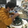 Dipanjan Mitra's profile picture