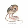 B𝐄noud profil fotoğrafı