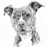 Profilbild von Thomas Andrew