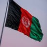 Zeeshan's profile picture