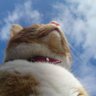 AxL's profile picture