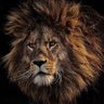 Фото профиля The ObserVer