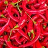 Pilipili 的头像