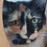 Chairperson Mao's profile picture