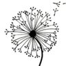 tanpopo's profile picture