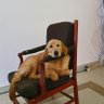 CMQ's profile picture
