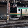 撮る時は安全に配慮し楽しく譲り合い 基本的に(大宮の)鉄道の出来事's profile picture