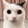 Tricked 的头像