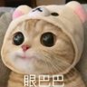 Profilbild von 常州小哥