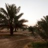 Фото профиля الخط الآثري