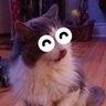 RBcat - smouldering rage, probably 🏳️🌈 💜🖤 profil fotoğrafı