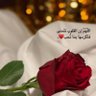 أم عمر ❤️'s profile picture