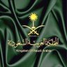 nara+70🇸🇦's profile picture