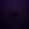 Profilbild von Black and