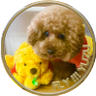 そら🐶🌈's profile picture